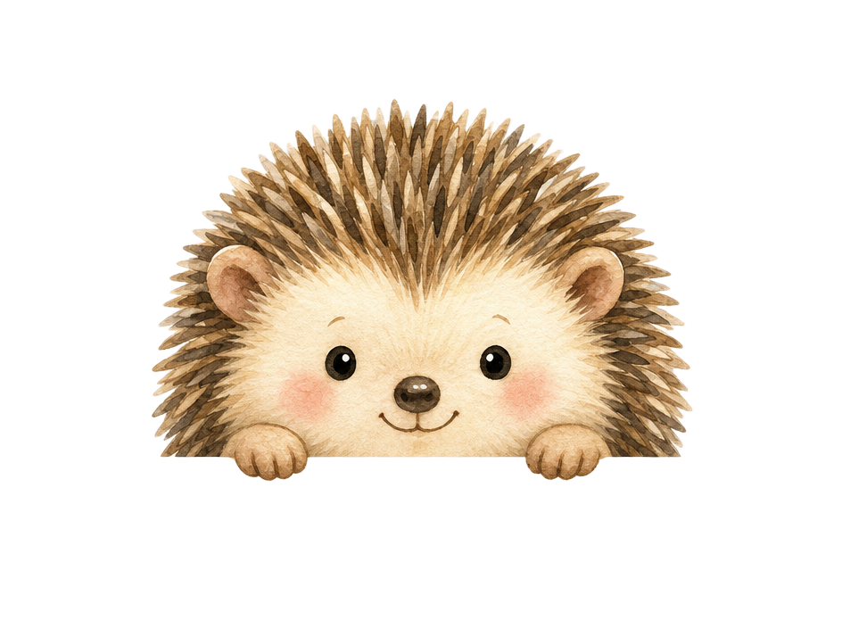 Watercolor hedgehog peeking over the contact card